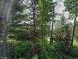  marathon,  NY 13803