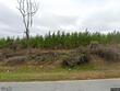 11471 al-105, skipperville,  AL 36374