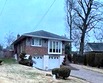  little neck,  NY 11362