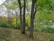 961 torbert ln, jersey shore,  PA 17740