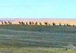 0 79 trail, lewistown,  MT 59457