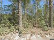 120 wirsching ln, walterboro,  SC 29488