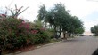  laredo,  TX 78041