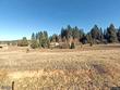 10236 holtzel rd, coulterville,  CA 95311