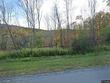  homer,  NY 13077