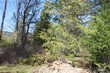 60 wilderness drive, concrete,  WA 98237