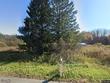  willet,  NY 13863