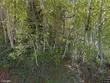 462 w ski view dr #8, brian head,  UT 84719