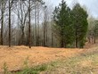 lot 2 willow grove hwy, allons,  TN 38541