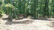 138 tumbleweed trail, rutledge,  TN 37861