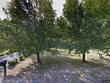 382 dogwood ln, leoma,  TN 38468