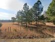 662 walnut grove rd, oxford,  NC 27565