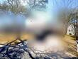 2709 jorwoods dr, austin,  TX 78745
