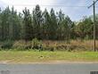 380 rhode dr, cottageville,  SC 29435