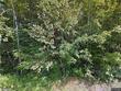28 lewis st, greenville,  ME 04441