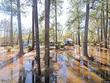 8141 tall pine ln, orange,  TX 77632