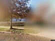 10545 walmer st, overland park,  KS 66212