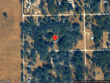  morriston,  FL 32668