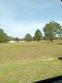 250 dandelion ct, round o,  SC 29474