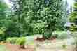  snohomish,  WA 98296