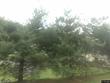 195 finch way # 7
                                ,Unit # 7, west jefferson,  NC 28694