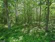66430 n point dr, iron river,  WI 54847