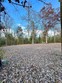 10928 broad river road, irmo,  SC 29063
