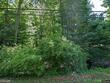 07370 n north shore dr #23, south haven,  MI 49090