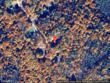 84 marine ln, whitefield,  ME 04353