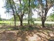 738 county road 738, webster,  FL 33597