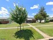 6216 mcclean blvd, baltimore,  MD 21214