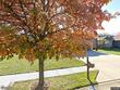 1605 ne 94th st, kansas city,  MO 64155