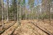 6-7 off eagle waters rd, eagle river,  WI 54521