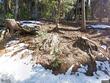  crestline,  CA 92325
