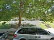 5729 jonquil ave, baltimore,  MD 21215
