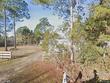 2300 carnation ave, middleburg,  FL 32068
