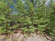 7444 birch tree dr lot 18b
                                ,Unit Lot 18B, eagle river,  WI 54521