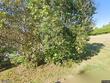 4 green mountain view dr, barre,  VT 05641