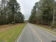 0 hwy 134, pinckard,  AL 36371