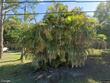  palm city,  FL 34990