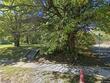 2966 hiawatha st, kansas city,  KS 66104