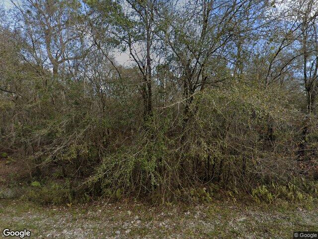 7438 cockleberry drive, ridge manor,  FL 33597