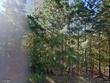 little rock,  AR 72207
