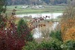  snohomish,  WA 98296