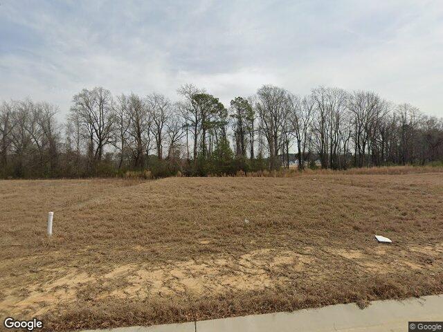 294 n coral bells way, four oaks,  NC 27524