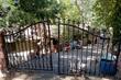  crestline,  CA 92325