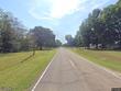  greenfield,  TN 38230