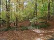 81 watauga way, clayton,  NC 27527