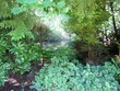 mill creek,  WA 98012