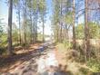 01 nw 185th street, starke,  FL 32091